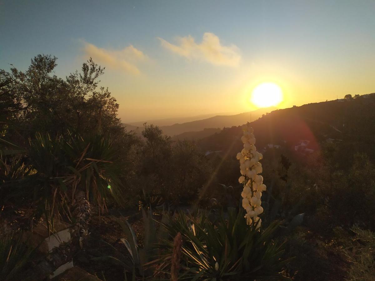 B&B La Madrugada Cómpeta Dış mekan fotoğraf